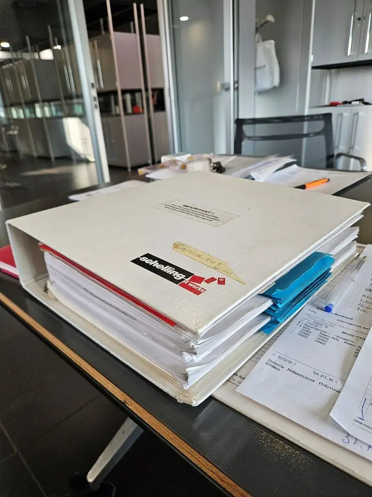 80736 (3) MANUAL SCHELLING.webp